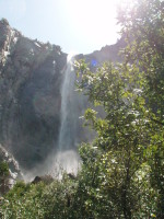 2007