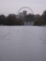 2009