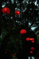 2011